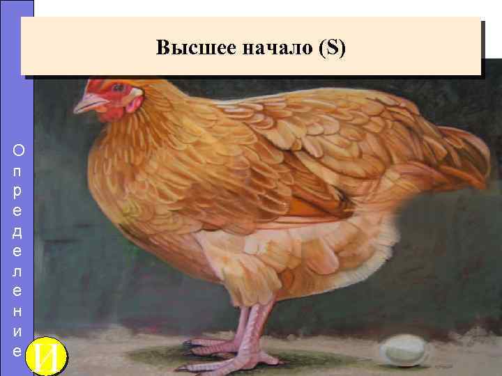 Высшее начало (S) О п р е д е л е н и е