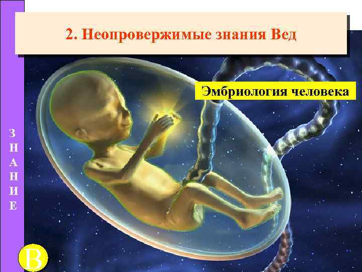 2. Неопровержимые знания Вед Эмбриология человека З Н А Н И E В 