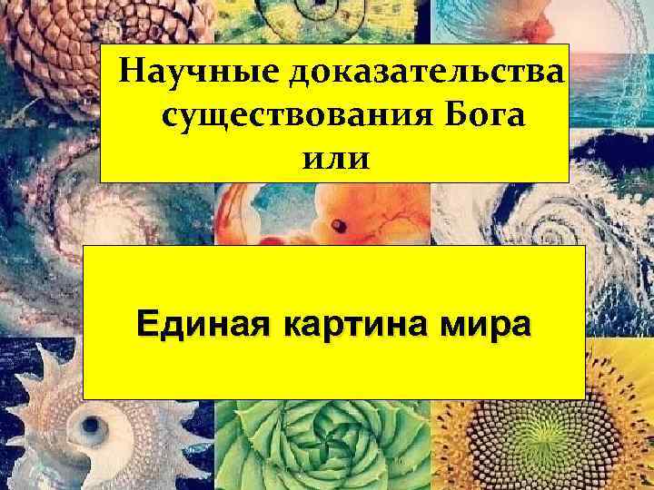 Научные доказательства существования Бога или Единая картина мира 