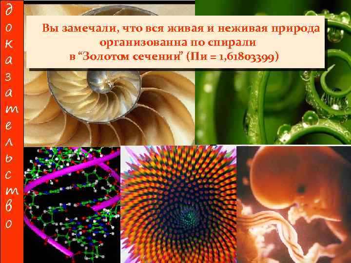 д о к а з а т е л ь с т в о