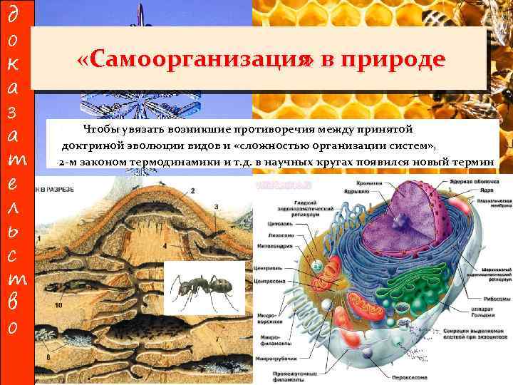 д о к а з а т е л ь с т в о