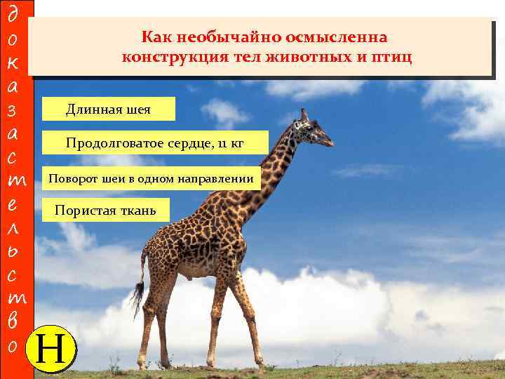 д о к а з а с т е л ь с т в