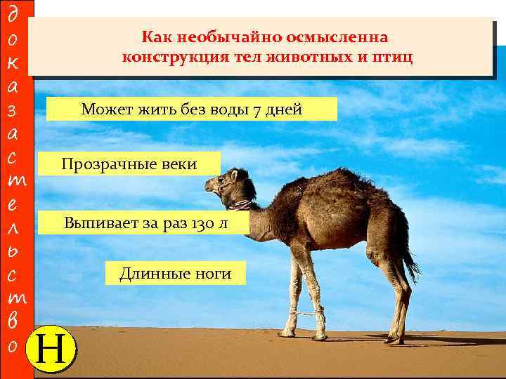 д о к а з а с т е л ь с т в