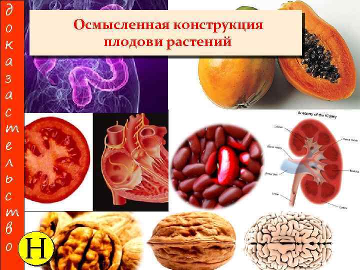 д о к а з а с т е л ь с т в