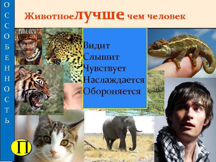 О С С О Б Е Н Н О С Т Ь лучше, чем