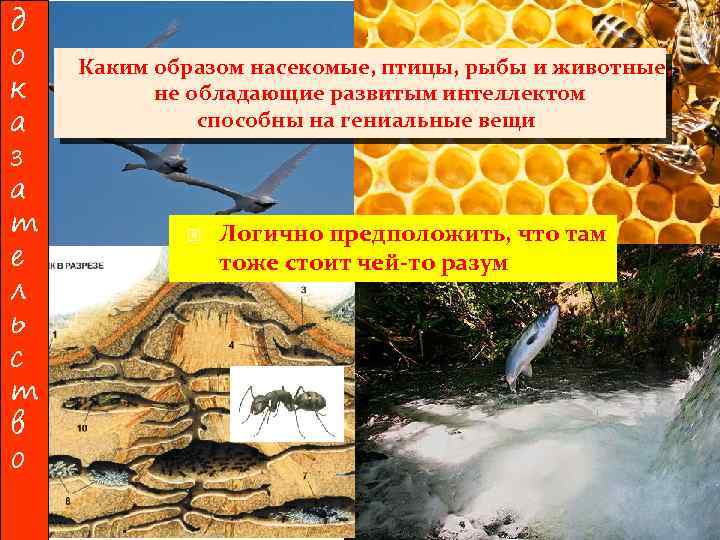 д о к а з а т е л ь с т в о