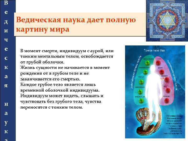 В е д и ч е с к а я н а у к