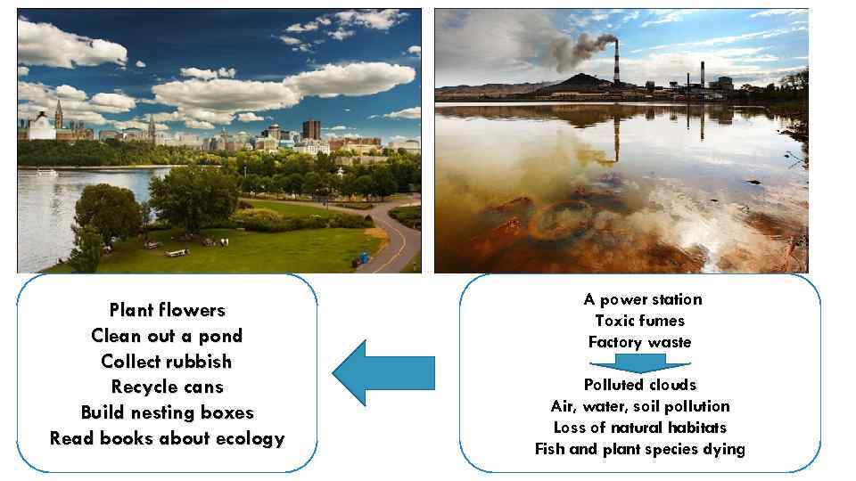 Plant flowers Clean out a pond Collect rubbish Recycle cans Build nesting boxes Read