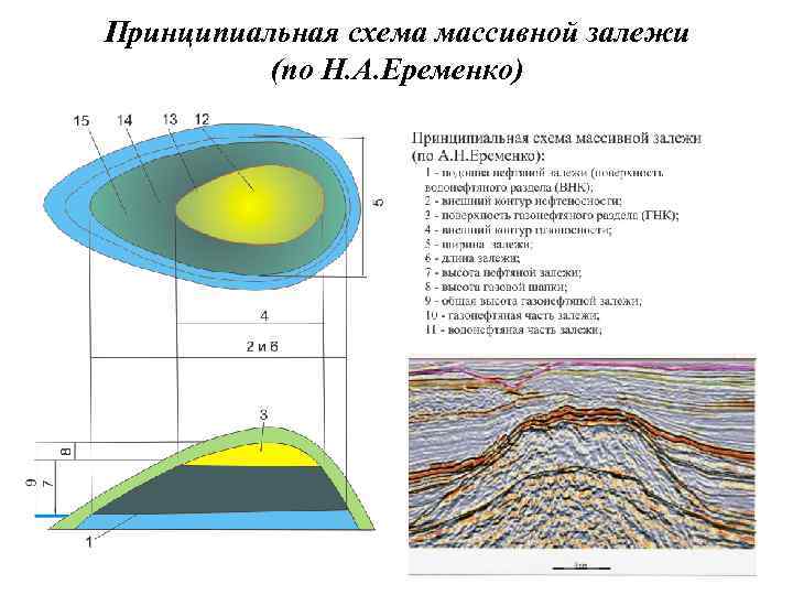 Принципиальная схема массивной залежи (по Н. А. Еременко) 