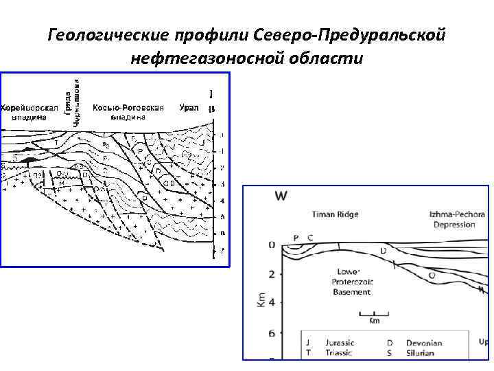 Геологические профили Северо-Предуральской нефтегазоносной области 