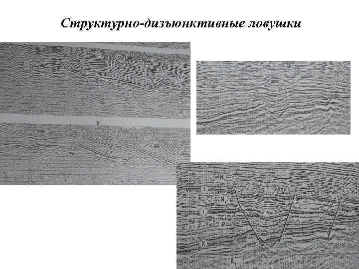 Структурно-дизъюнктивные ловушки 