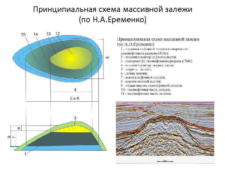 Принципиальная схема массивной залежи (по Н. А. Еременко) 
