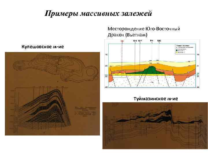 Примеры массивных залежей Месторождение Юго-Восточный Дракон (Вьетнам) Кулешовское м-ие Туймазинское м-ие 