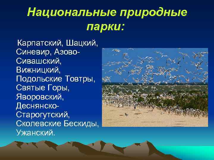 Национальные природные парки: Карпатский, Шацкий, Синевир, Азово. Сивашский, Вижницкий, Подольские Товтры, Святые Горы, Яворовский,