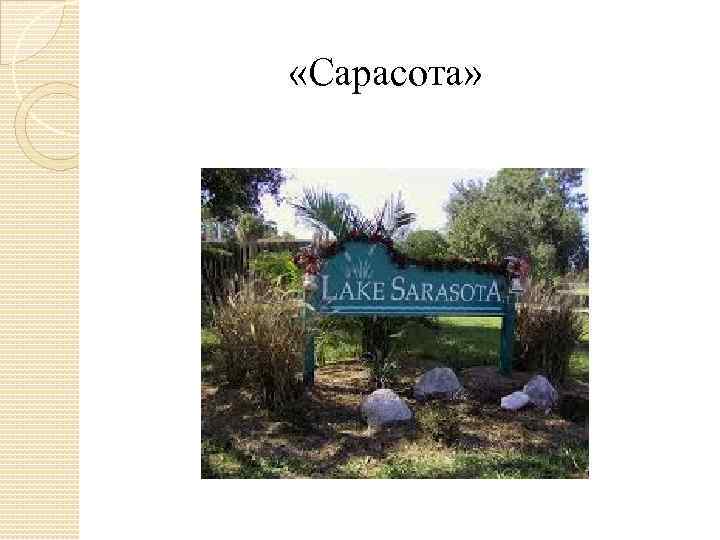  «Сарасота» 