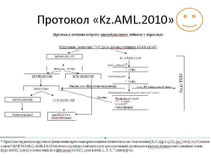 Протокол «Kz. AML. 2010» 