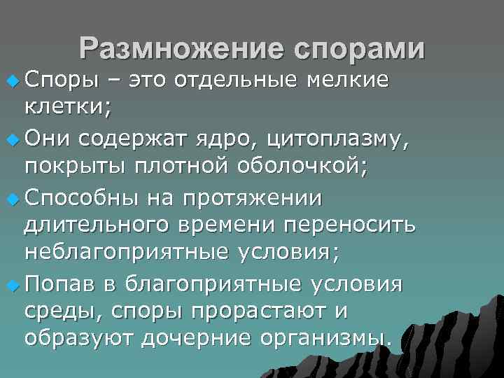Размножение спорами u Споры – это отдельные мелкие клетки; u Они содержат ядро, цитоплазму,