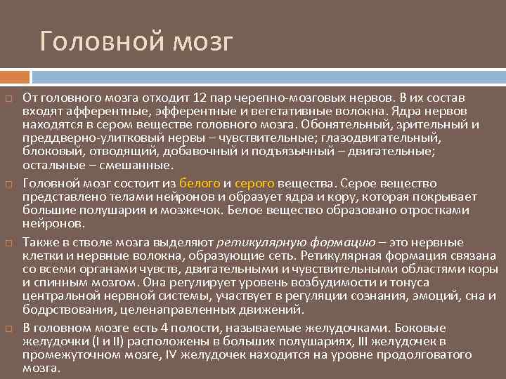 Головной мозг От головного мозга отходит 12 пар черепно-мозговых нервов. В их состав входят