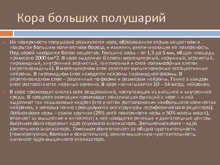 Кора больших полушарий На поверхности полушарий развивается кора, образованная серым веществом и покрытая большим