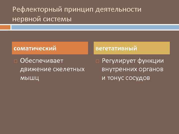 Рефлекторный принцип деятельности нервной системы соматический Обеспечивает движение скелетных мышц вегетативный Регулирует функции внутренних