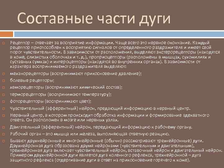 Составные части дуги Рецептор – отвечает за восприятие информации. Чаще всего это нервное окончание.