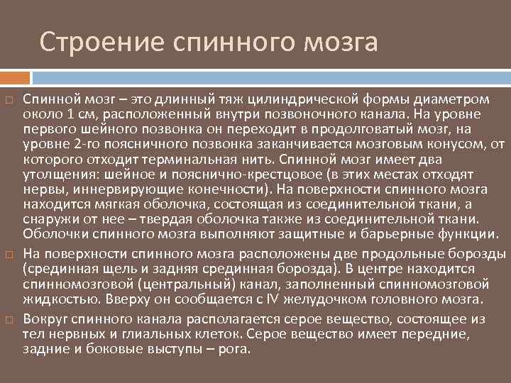 Строение спинного мозга Спинной мозг – это длинный тяж цилиндрической формы диаметром около 1