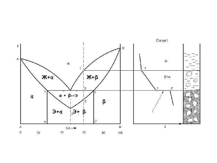 Ж+α α Ж+β α + β↔Э β Э+α Э+ β 