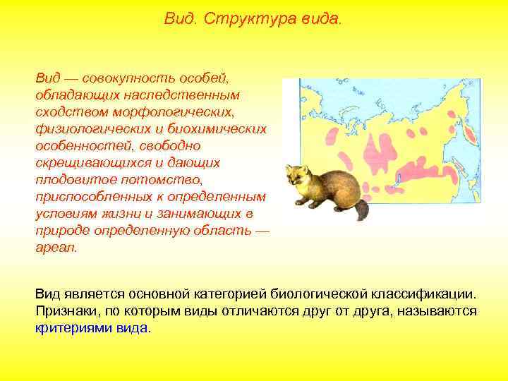 Вид. Структура вида. Вид — совокупность особей, обладающих наследственным сходством морфологических, физиологических и биохимических