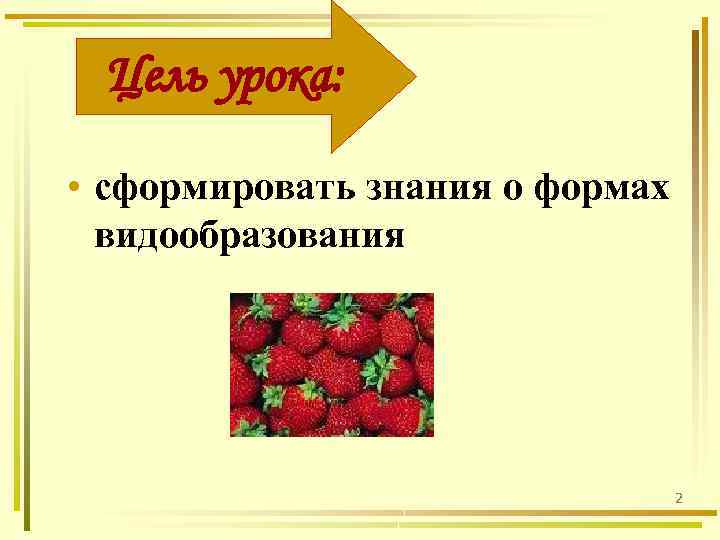 Цель урока: • сформировать знания о формах видообразования 2 
