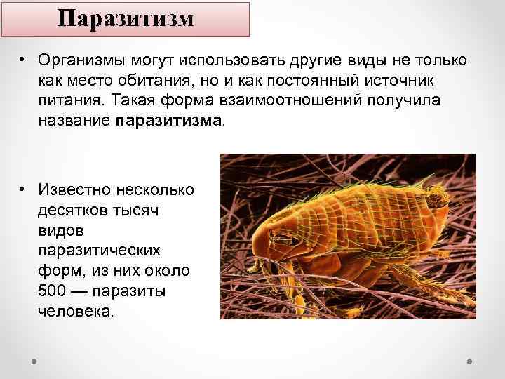Паразитизм • Организмы могут использовать другие виды не только как место обитания, но и