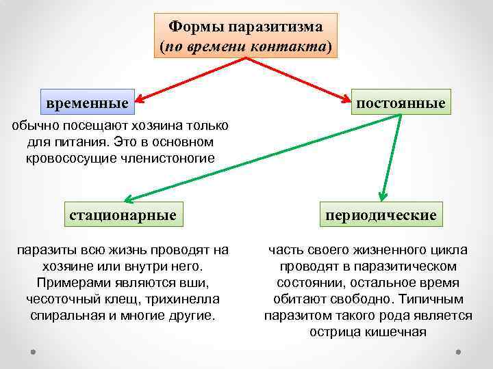 Формы паразитизма (по времени контакта) временные постоянные обычно посещают хозяина только для питания. Это
