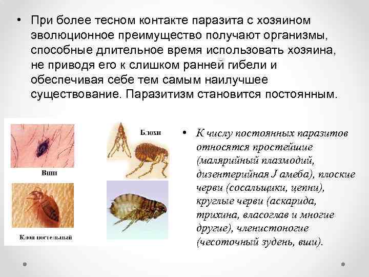  • При более тесном контакте паразита с хозяином эволюционное преимущество получают организмы, способные