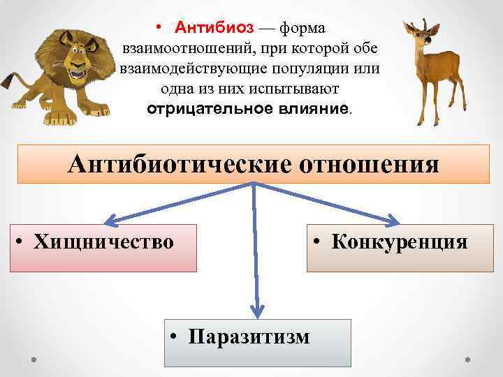  • Антибиоз — форма взаимоотношений, при которой обе взаимодействующие популяции или одна из