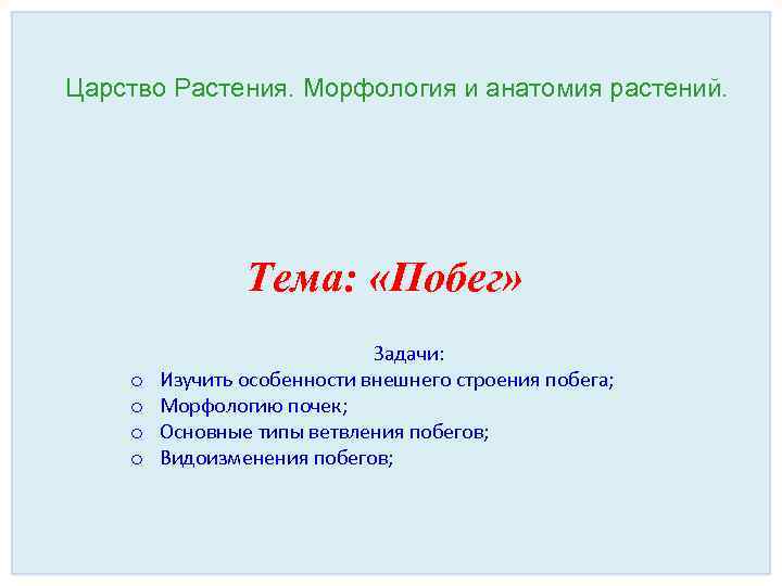 Анатомия и морфология растений. Тест на тему морфология и анатомия растений 6 класс.