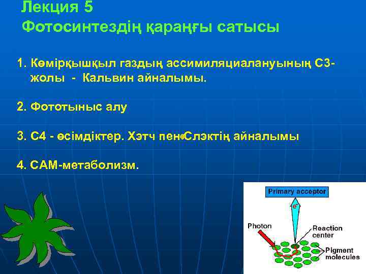  Лекция 5 Фотосинтездің қараңғы сатысы 1. Көмірқышқыл газдың ассимиляциалануының С 3 жолы -