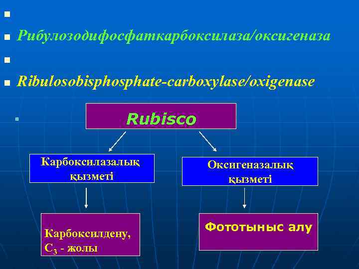 n n Рибулозодифосфаткарбоксилаза/оксигеназа n n Ribulosobisphosphate-carboxylase/охigenase Rubisco Карбоксилазалық қызметі Карбоксилдену, С 3 - жолы