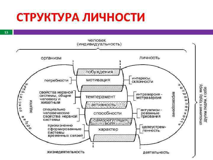 СТРУКТУРА ЛИЧНОСТИ 13 