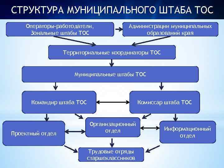 СТРУКТУРА МУНИЦИПАЛЬНОГО ШТАБА ТОС Операторы-работодатели, Зональные штабы ТОС Администрации муниципальных образований края Территориальные координаторы