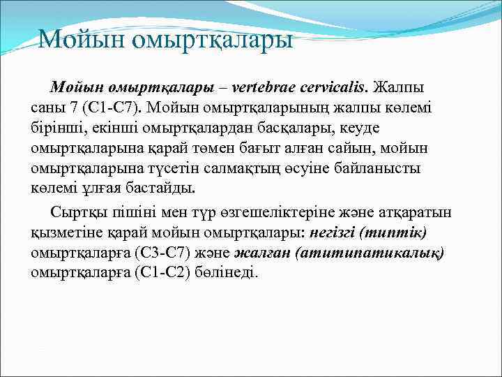Мойын омыртқалары – vertebrae cervicalis. Жалпы саны 7 (С 1 -С 7). Мойын омыртқаларының