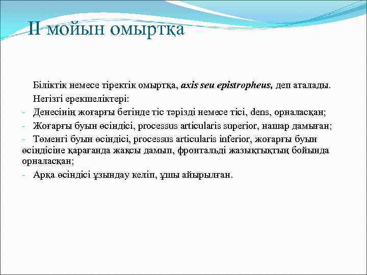 II мойын омыртқа Біліктік немесе тіректік омыртқа, axis seu epistropheus, деп аталады. Негізгі ерекшеліктері: