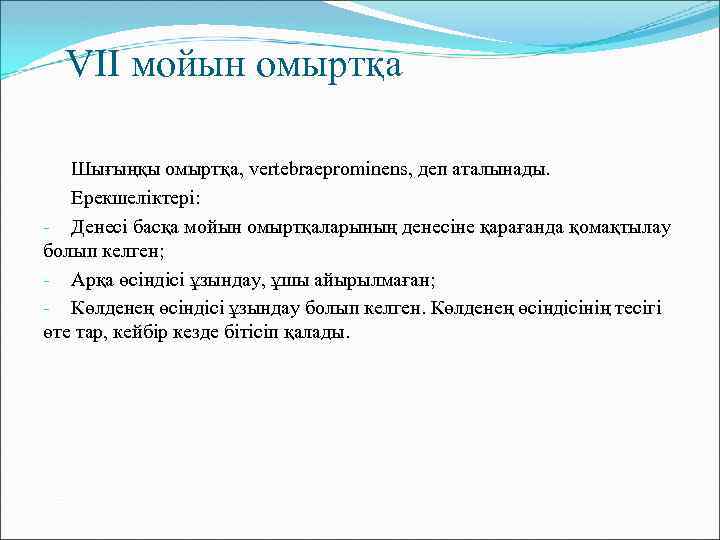VII мойын омыртқа Шығыңқы омыртқа, vertebraeprominens, деп аталынады. Ерекшеліктері: - Денесі басқа мойын омыртқаларының