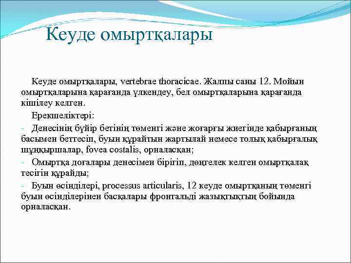 Кеуде омыртқалары, vertebrae thoracicae. Жалпы саны 12. Мойын омыртқаларына қарағанда үлкендеу, бел омыртқаларына қарағанда