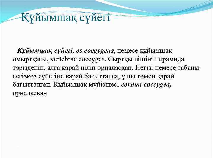 Құйымшақ сүйегі, os coccygeus, немесе құйымшақ омыртқасы, vertebrae coccyges. Сыртқы пішіні пирамида тәрізденіп, алға