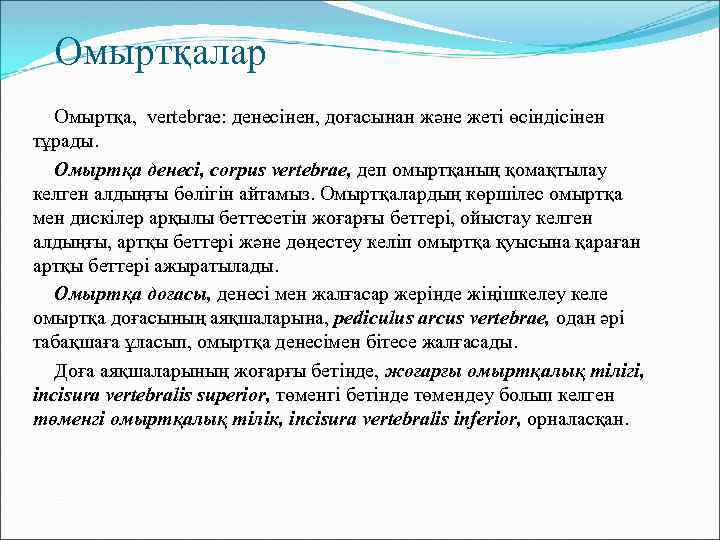 Омыртқалар Омыртқа, vertebrae: денесінен, доғасынан және жеті өсіндісінен тұрады. Омыртқа денесі, corpus vertebrae, деп