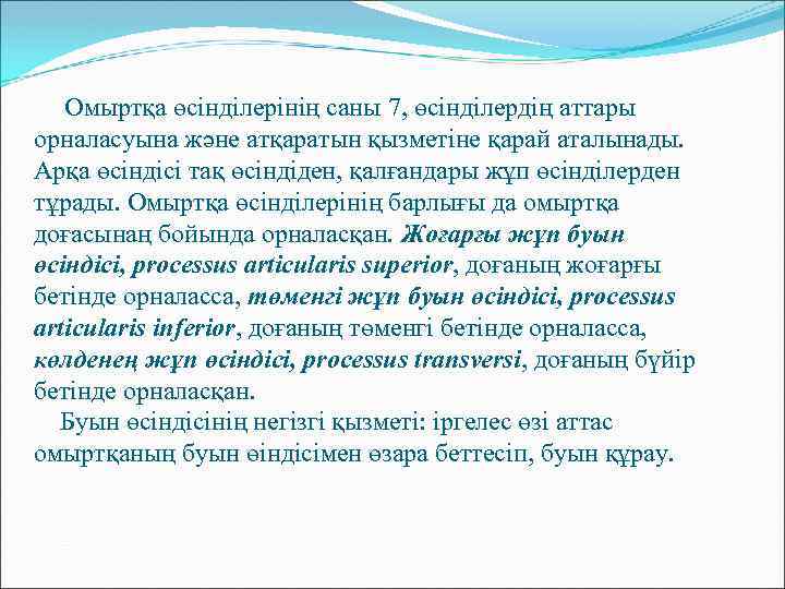 Омыртқа өсінділерінің саны 7, өсінділердің аттары орналасуына және атқаратын қызметіне қарай аталынады. Арқа өсіндісі