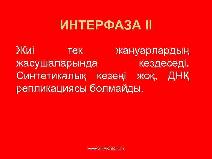 ИНТЕРФАЗА II Жиі тек жануарлардың жасушаларында кездеседі. Синтетикалық кезеңі жоқ, ДНҚ репликациясы болмайды. www.