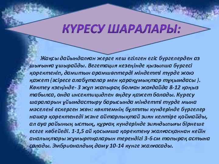 Жақсы дайындалған жерге кеш егілген егіс бүргелерден аз шығынға ұшырайды. Вегетация кезеңінде қызылша бүргесі