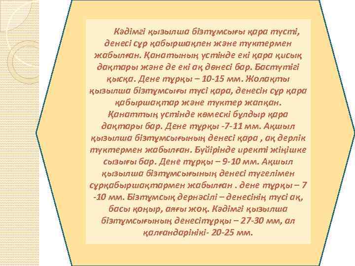 Кәдімгі қызылша бізтұмсығы қара түсті, денесі сұр қабыршақпен және түктермен жабылған. Қанатының үстінде екі