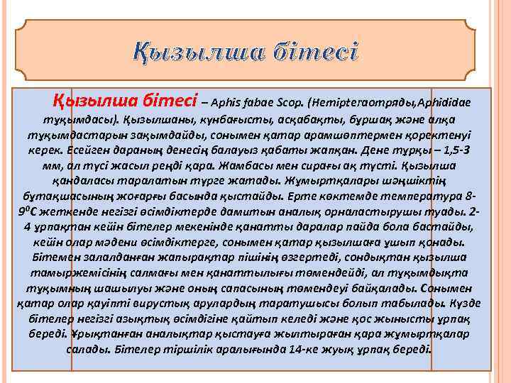 Қызылша бітесі – Aphis fabae Scop. (Hemipteraотряды, Aphididae тұқымдасы). Қызылшаны, күнбағысты, асқабақты, бұршақ және