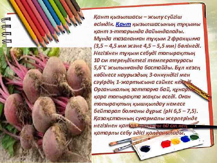 Қант қызылшасы – жылу сүйгіш өсімдік. Қант қызылшасының тұқымы қант з-ттарында дайындалады. Мұнда тазаланған